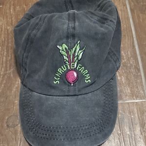 Baseball cap the office